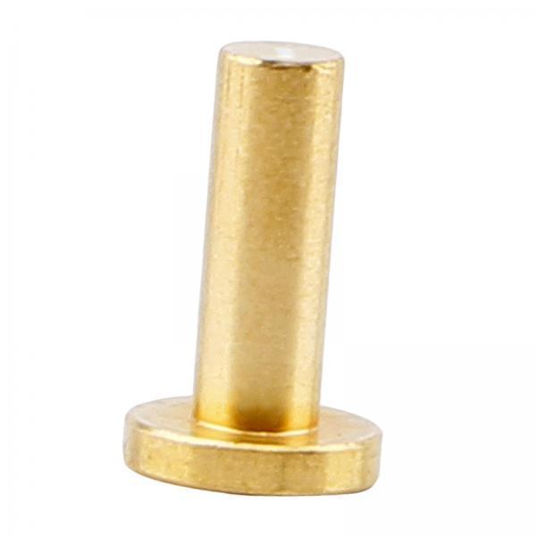 Golf Plug Weights Portable Bra - Golf Equipment Weight review and price